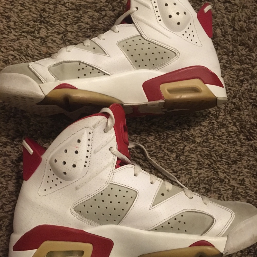 Jordan 6 alternate
